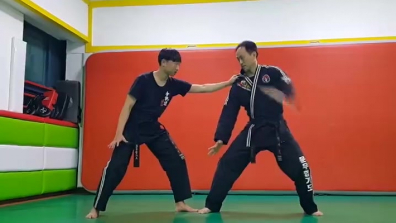 Техника хапкидо