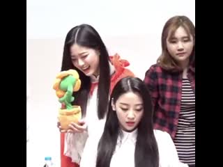 Hyunjins so amused by this dumb flower toy ok mayhaps i love her