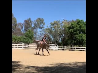 Goofing around at home today, bareback and bridle less on my porn horse ! 🦄