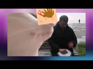 Levan polkka|cat and chik| meme