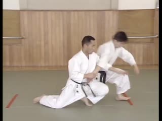 Yoshinkan aikido part 3