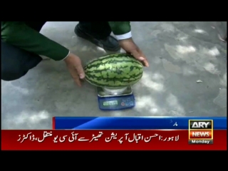 Martial artist rashid naseem snatches another world record from india hd mp4