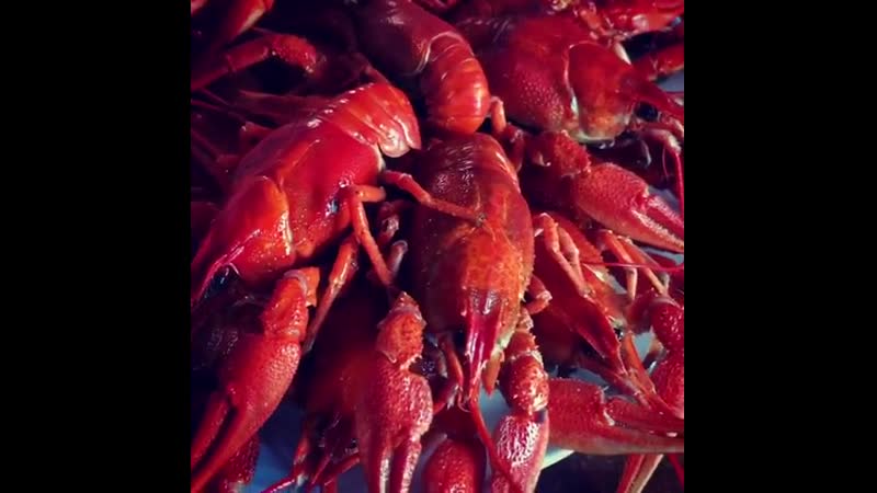 Красные раки