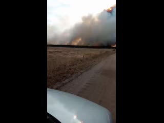 Видео от глеба клевцова