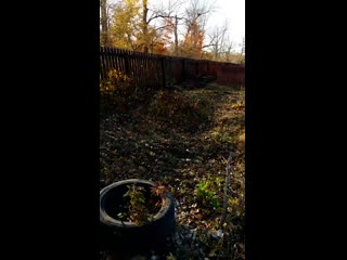 Vid 20201013 143722 mp4