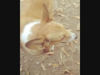 181107 hochan (baikal) instagram post