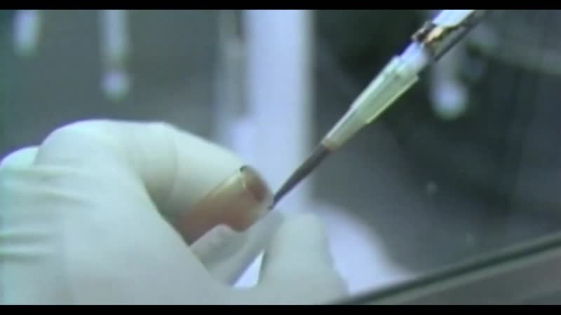 Plandemic interview with dr judy mikovits (2020, en, 26 min)
