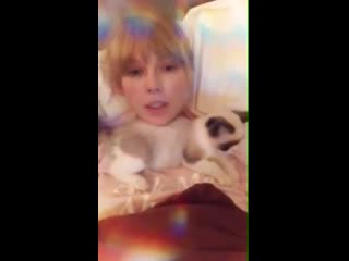 Video of taylor petting benjamin button, exclusively available to fans on china’s music platform kugou music so this is wher