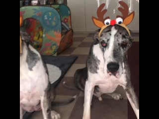 Takagi manpei / shinpei