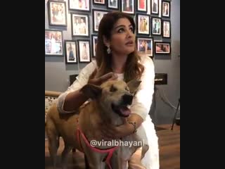 Raveena tandon for #worldanimalday