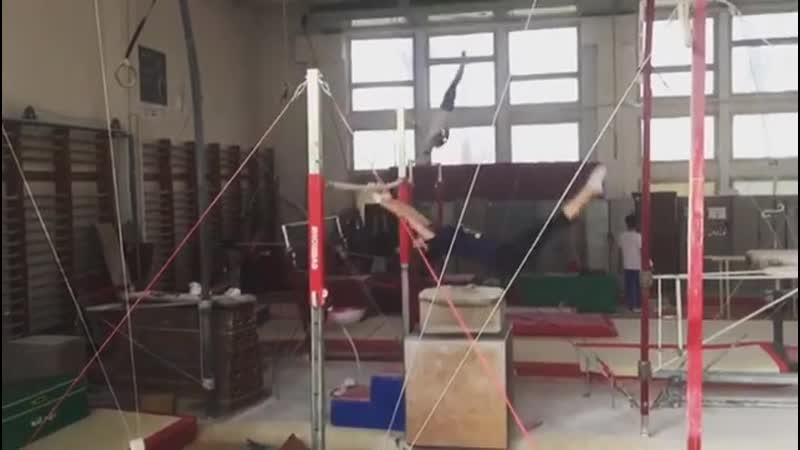 Larisa iordache