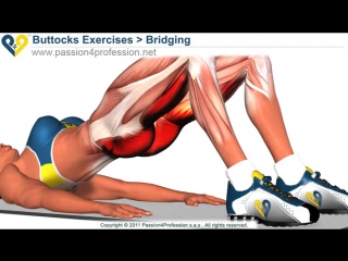 Bridging exercise