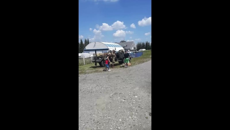 Bielsko biala бельско бял live