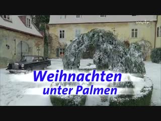 Um himmels willen weihnachten unter palmen