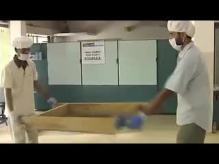 [как это сделано] как выращивают и собирают черный перец | harvesting black pepper