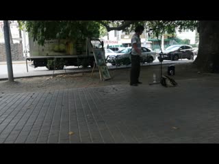 Vid 20200812 112750 mp4