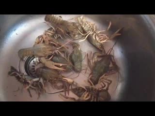 Vid 20201106 142029 mp4