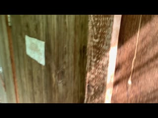 Alex каппер | зашел в випку