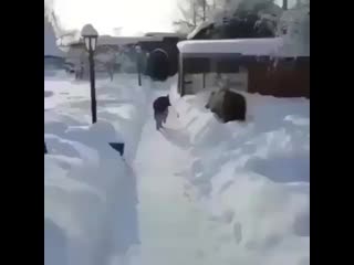 Xari bulbul video 1557319844603 mp4