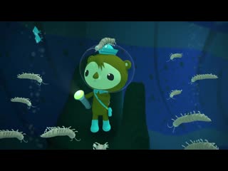 Octonauts and the remipedes