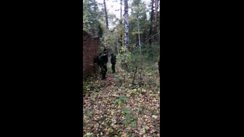 Барсы огневая