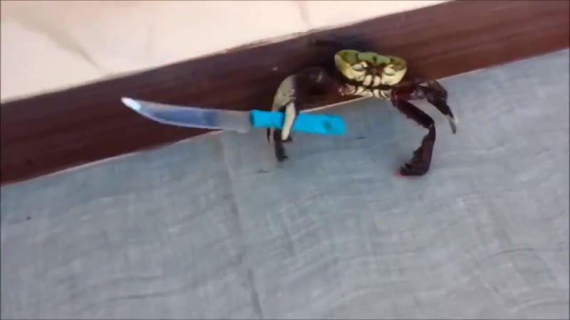 Краб с ножом ану иди сюда! ржач,угар,прикол !!