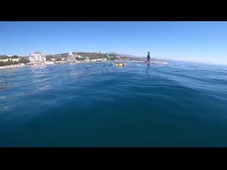 Выгул собакена )