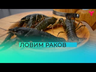 Карина ловит раков