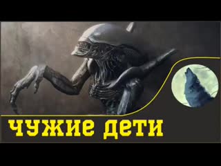 Шаблон отец не тот, кто родил, а тот, кто воспитал (1) mp4