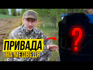 Привада на медведя // как сделать приваду на медведя // охотхозяйство узмень