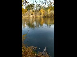 Vid 20201011 123920(0) mp4