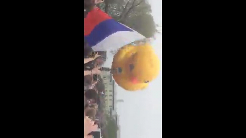 Петербуржцы играют с уточкой