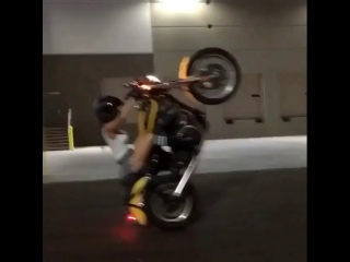 Girl wheelies