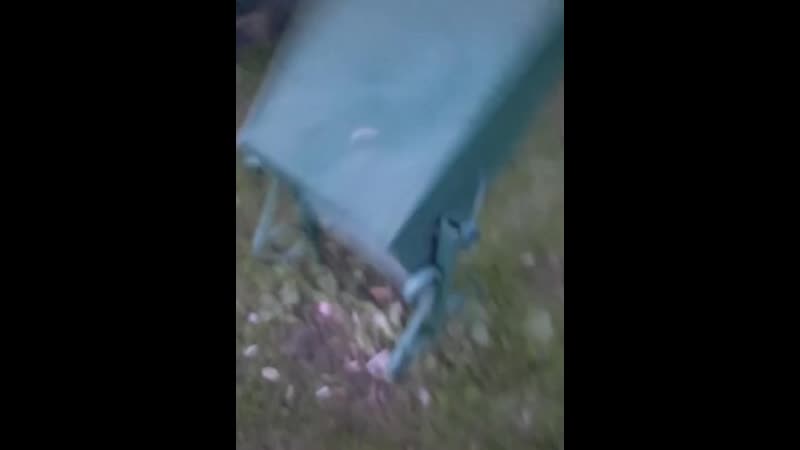 Лютая мусорка флексит флексить ей никто незапрещал дабстеп хаю хай с вами ивангай