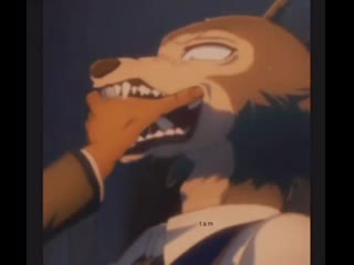 Legosi | beastars edit