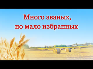 «много званых, но мало избранных»