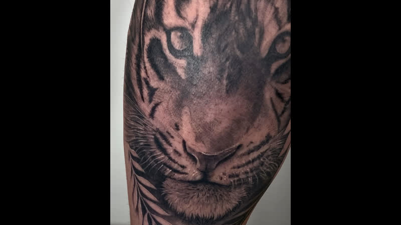 Заживший проект