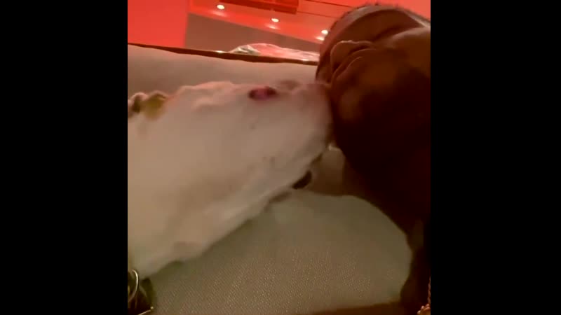Porn cudi and freshie