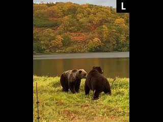 Осенний пейзаж