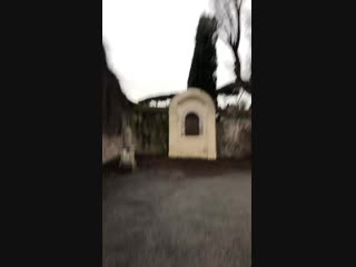 Storysaver diedari xx 50967413 339659176634690 8927969702671679803 n mp4