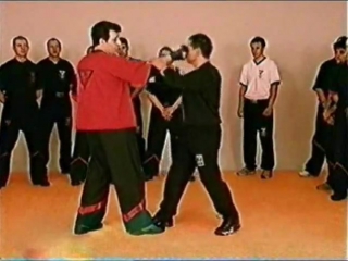 Биео wingtsun chi gerk antigrappling