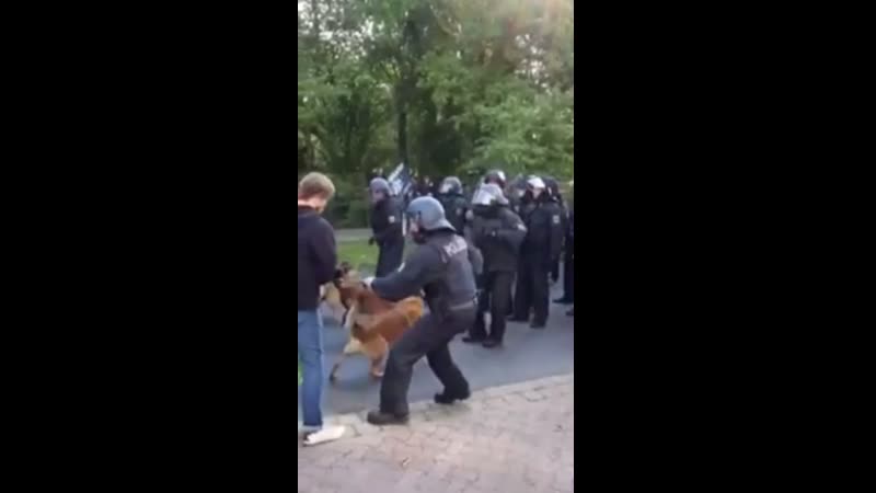 Германия полиция с молодые разгоняет толпу