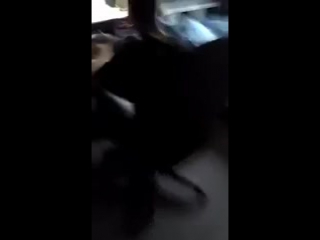 Сына делает уроки