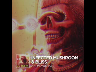 Infected mushroom ani mevushal