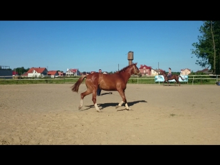 Эки беки 05 06 2015г