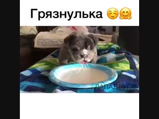 Так сладко чаает, маленький червячок! 😍