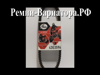 Ремень вариатора gates 43g3596