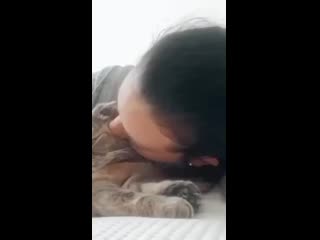 Kitten to catz 20200820 5 mp4