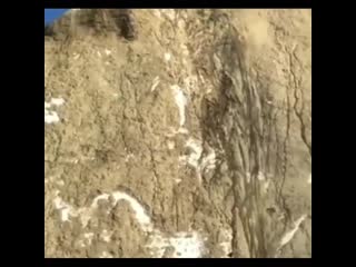 Braap lovess bg 20201204 0001 mp4