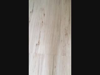 Приглос mc pecheneg